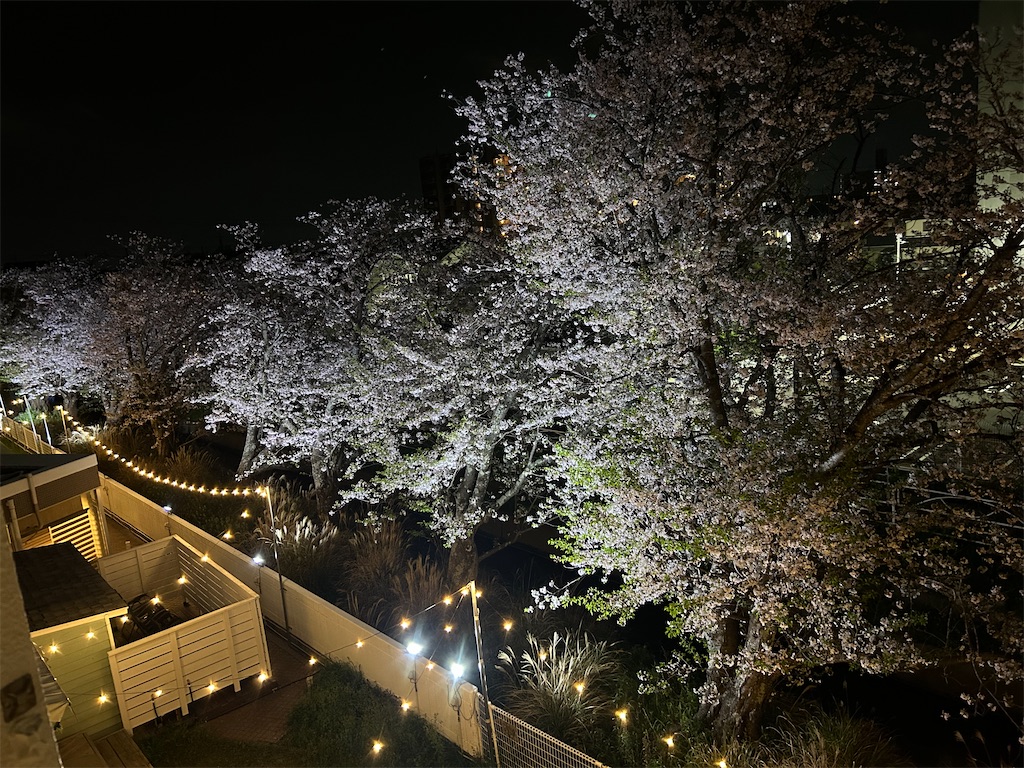 f:id:COM_KAO:20260407120834j:image