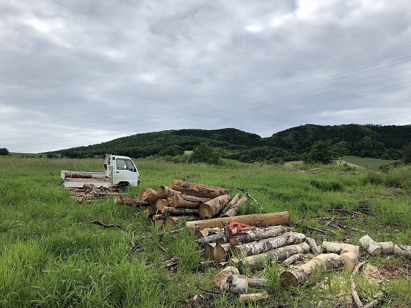 f:id:COOPER-S:20190702091618j:plain