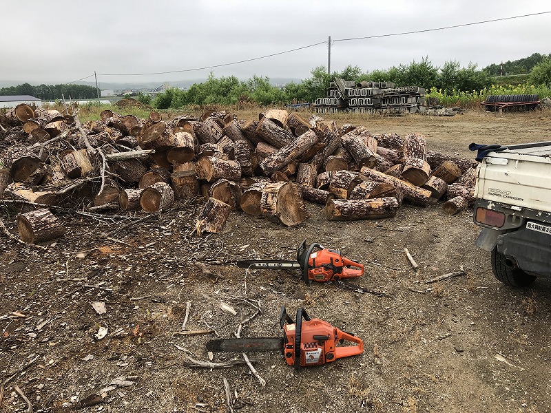 f:id:COOPER-S:20190706090403j:plain