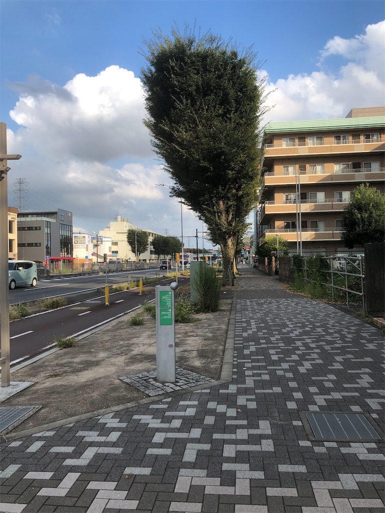 f:id:COSMOS03:20231001125137j:image