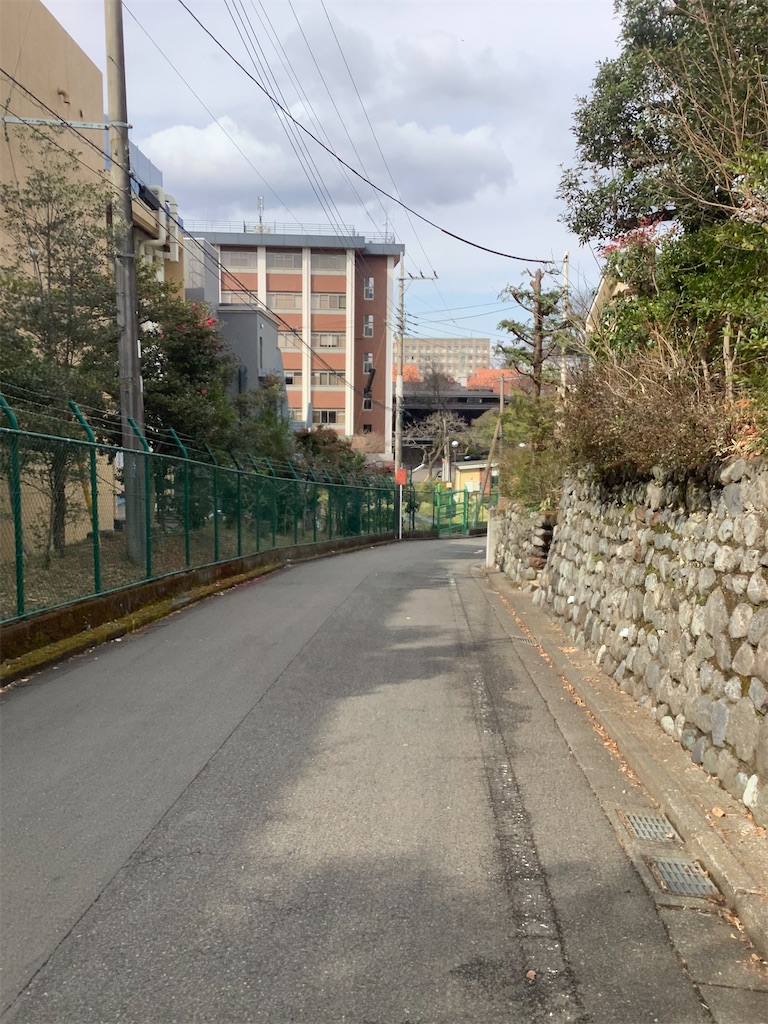 f:id:COSMOS03:20240220181136j:image