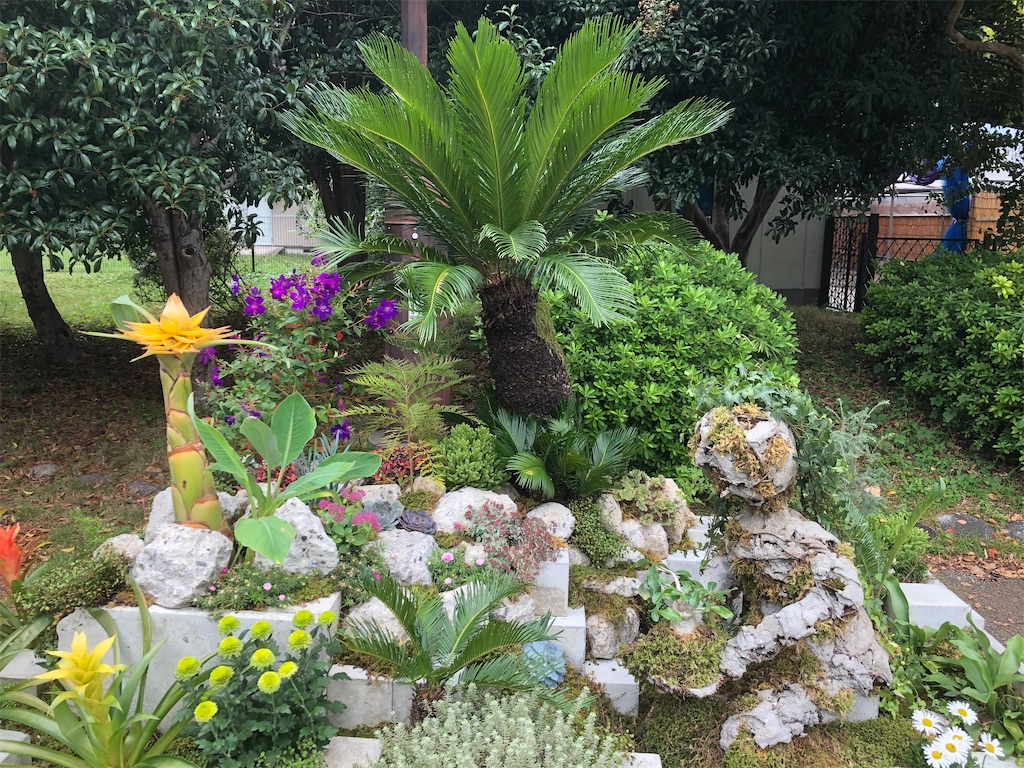 f:id:COSMOS03:20241027104000j:image