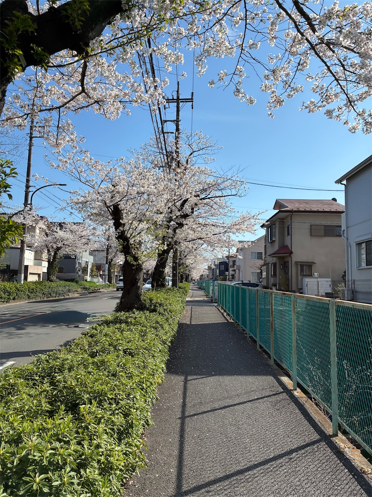 f:id:COSMOS03:20260405195249j:image