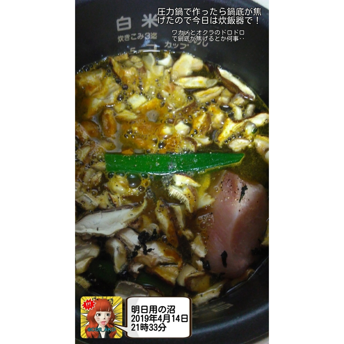 f:id:COS_AKD:20190416125608j:plain f:id:COS_AKD:20190416125608j:plain