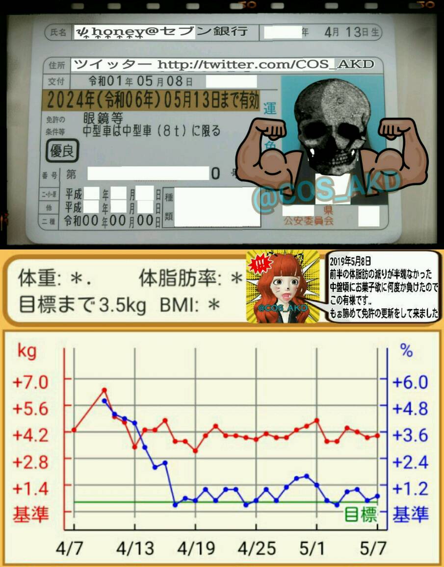 f:id:COS_AKD:20190508234325j:plain f:id:COS_AKD:20190508234325j:plain