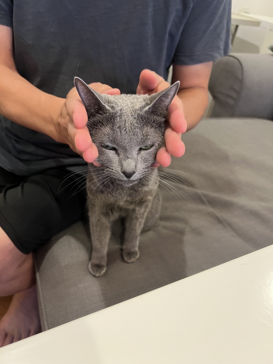 パパに顔をおもちゃにされ変顔になっているポーちゃん