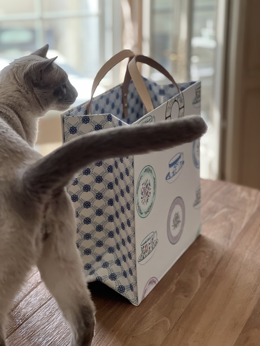 paperbag style 
