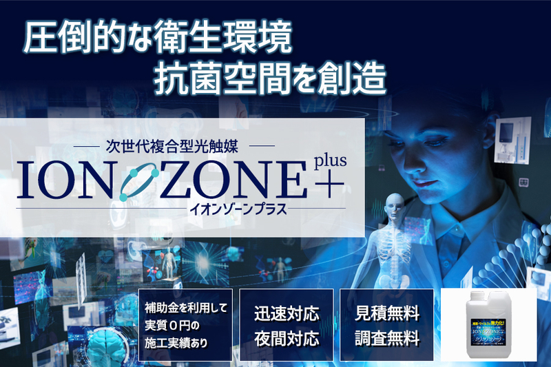 イオンゾーンプラス