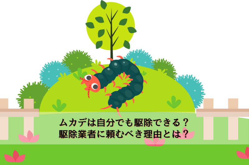 ムカデ