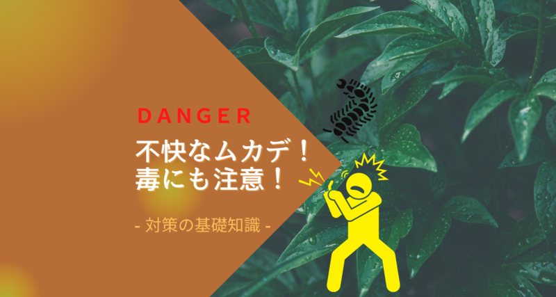 不快なムカデの基礎知識