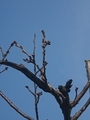 20190310151129
