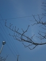 20190310151138