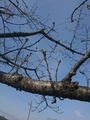 20190310151146