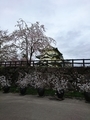 20190513224827