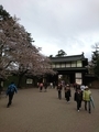 20190513224849