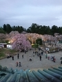 20190513225105