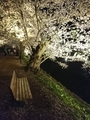 20190513225331