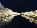 20190513225338