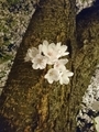 20190513225345