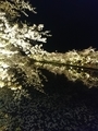 20190513225358