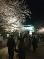 20190513225523