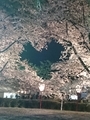 20190513225551