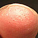 f:id:CSsurvive:20080604231202j:image