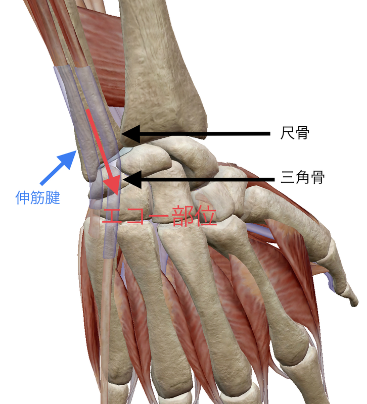 f:id:CTD_GIM:20200220190403p:image