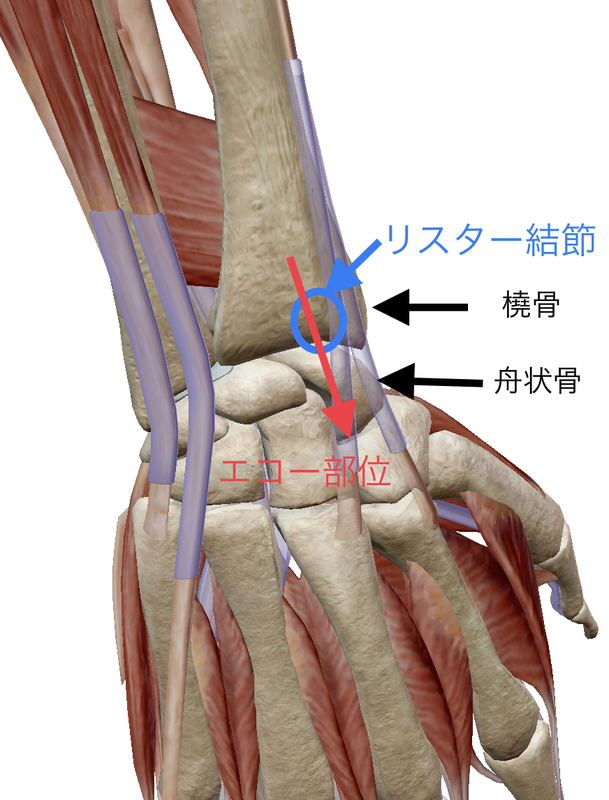 f:id:CTD_GIM:20200220190413p:image