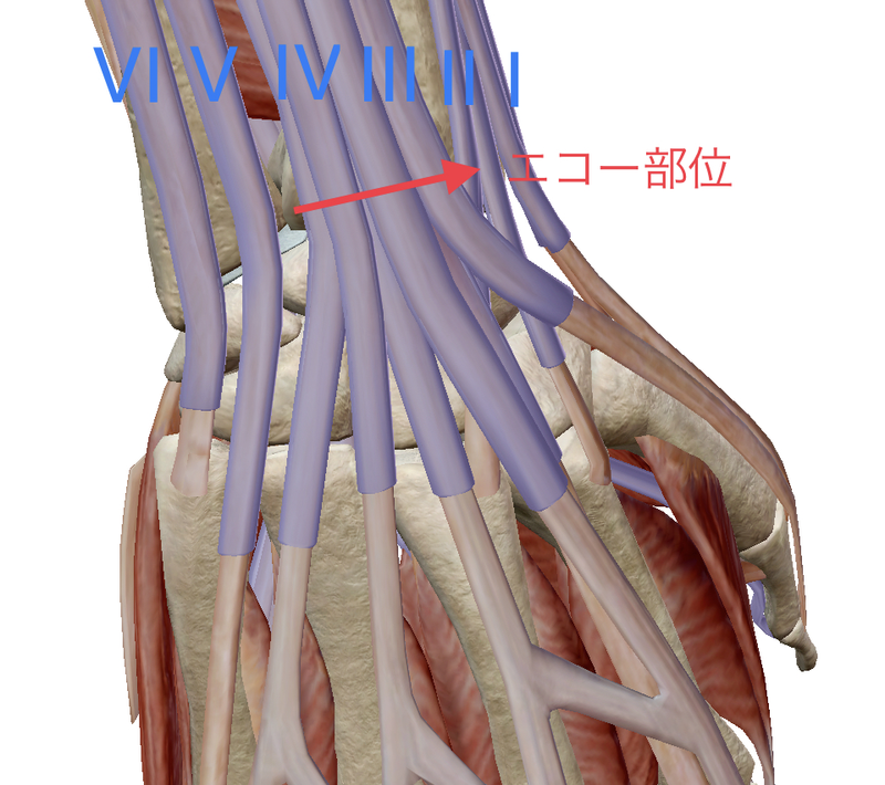 f:id:CTD_GIM:20200220190424p:image