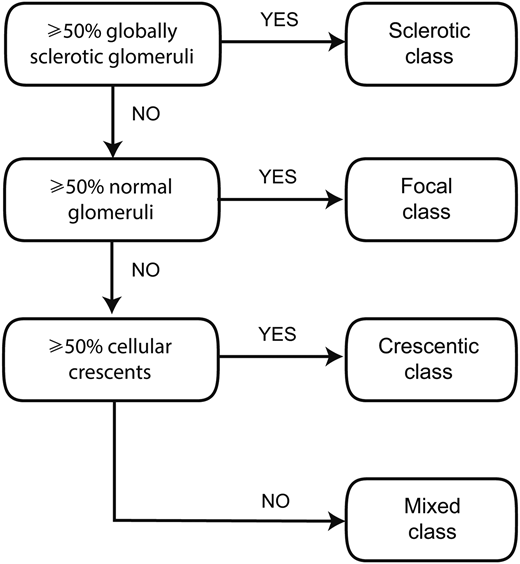 f:id:CTD_GIM:20201107155300p:image