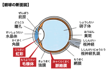 f:id:CTD_GIM:20210207194931p:image