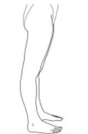 f:id:CTD_GIM:20210328111632p:image