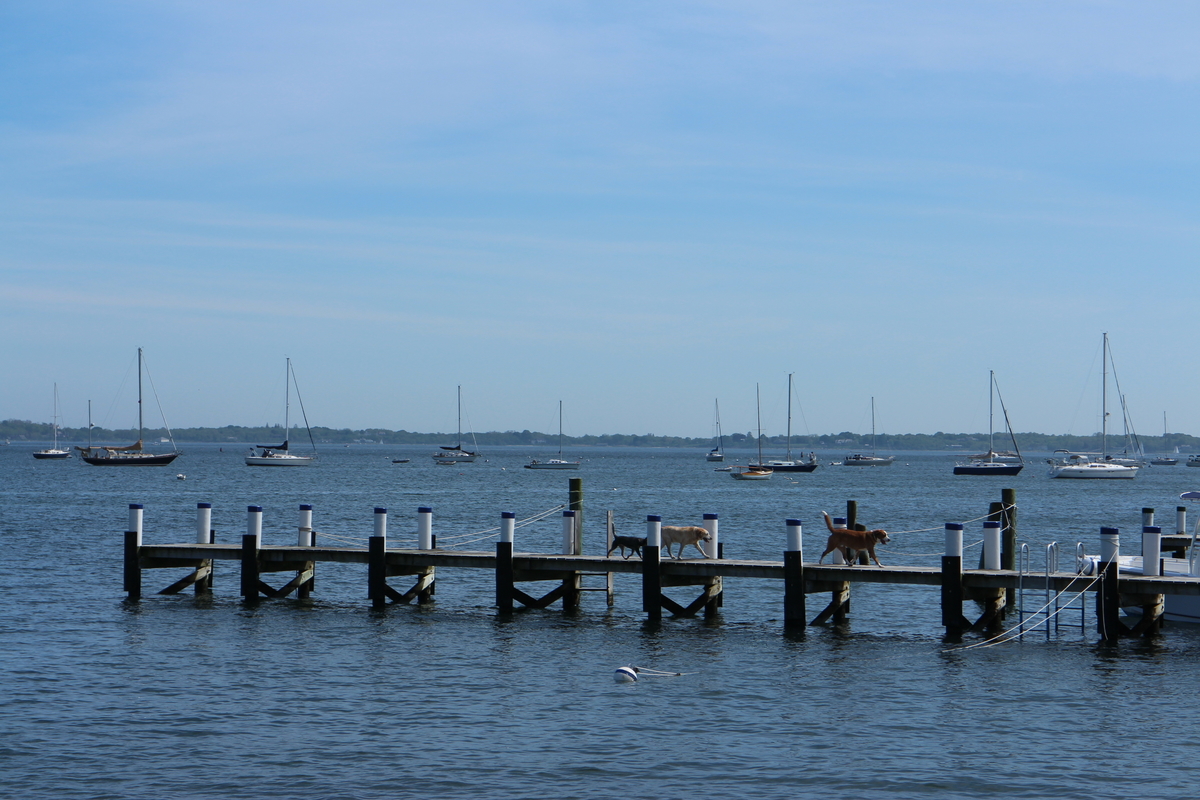 コネチカット州でロブスターを食べるのにおすすめの場所 マーモット通信