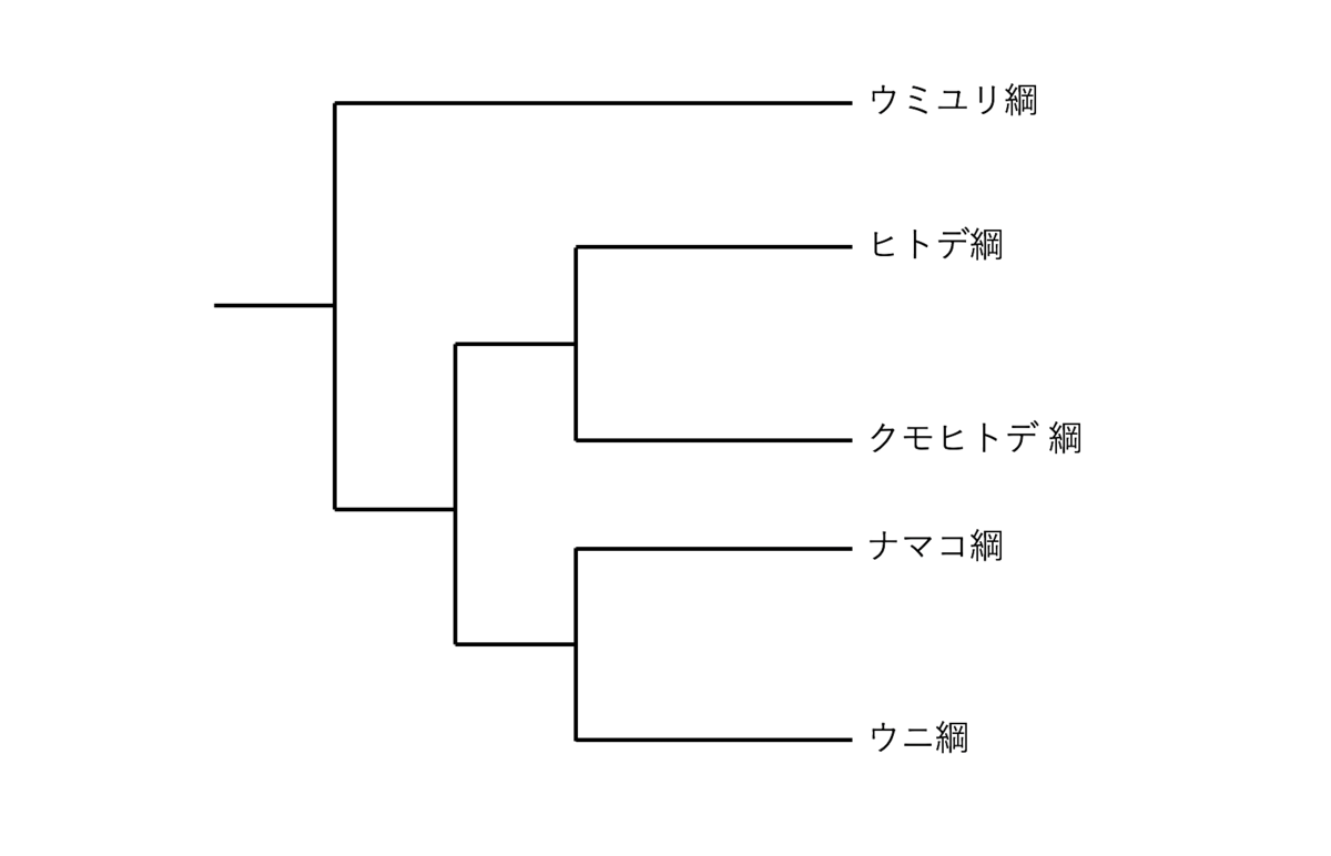 モデルではない生物