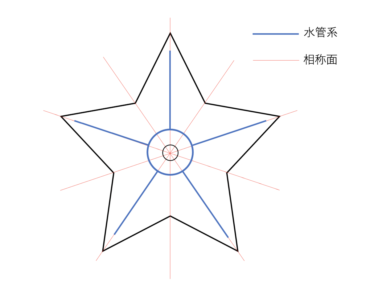 相称