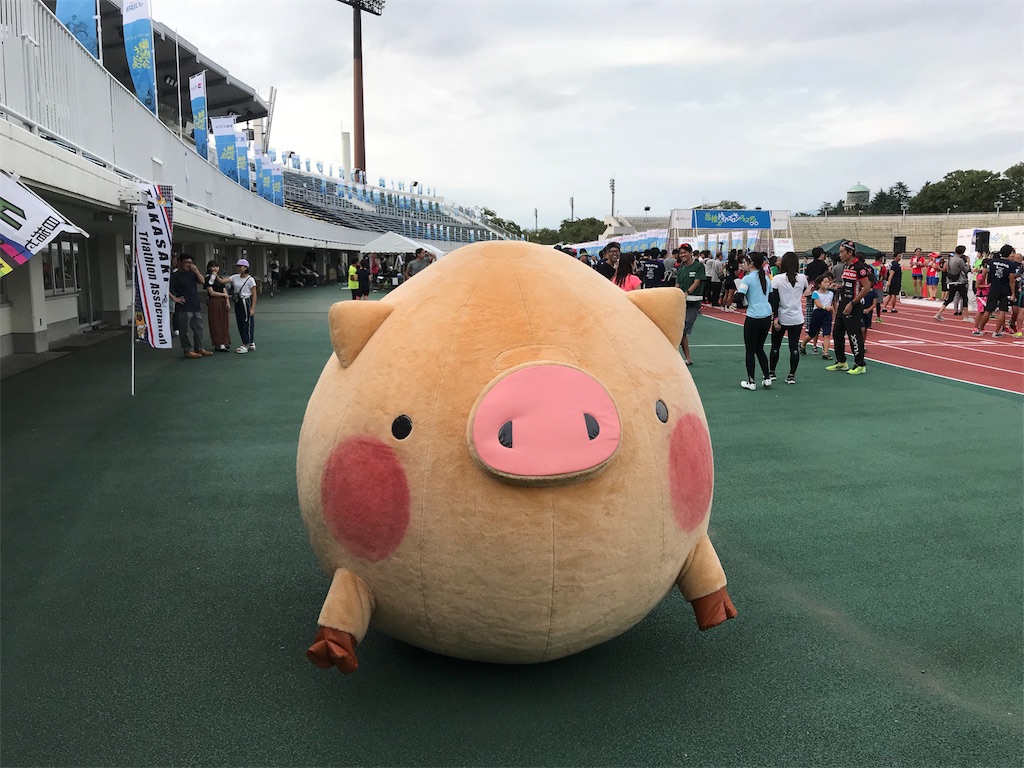 f:id:CaMinnCHu:20180919212014j:image f:id:CaMinnCHu:20180919212014j:image