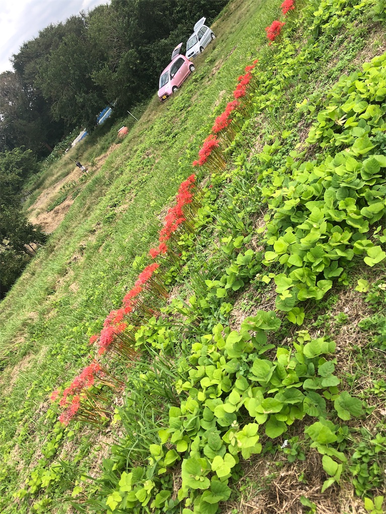 f:id:CaNYAon:20190926174206j:image f:id:CaNYAon:20190926174206j:image