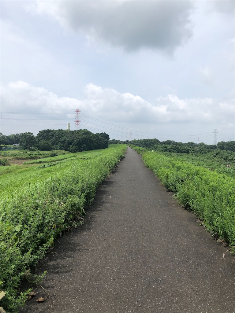 f:id:CaNYAon:20200712152231j:image