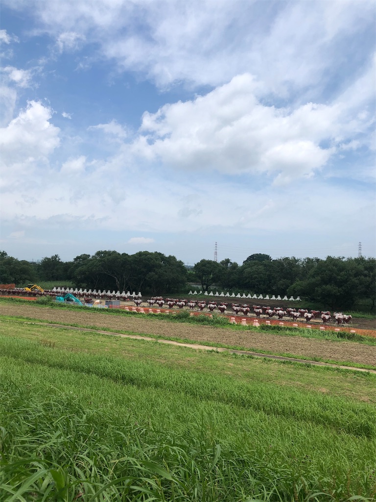 f:id:CaNYAon:20200712152302j:image