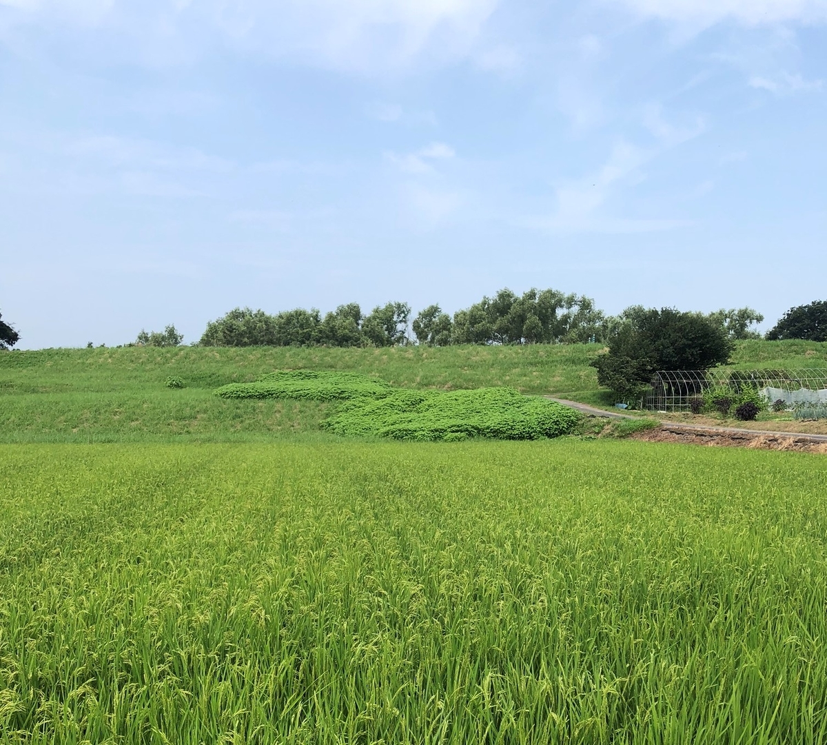 f:id:CaNYAon:20200809160945j:plain