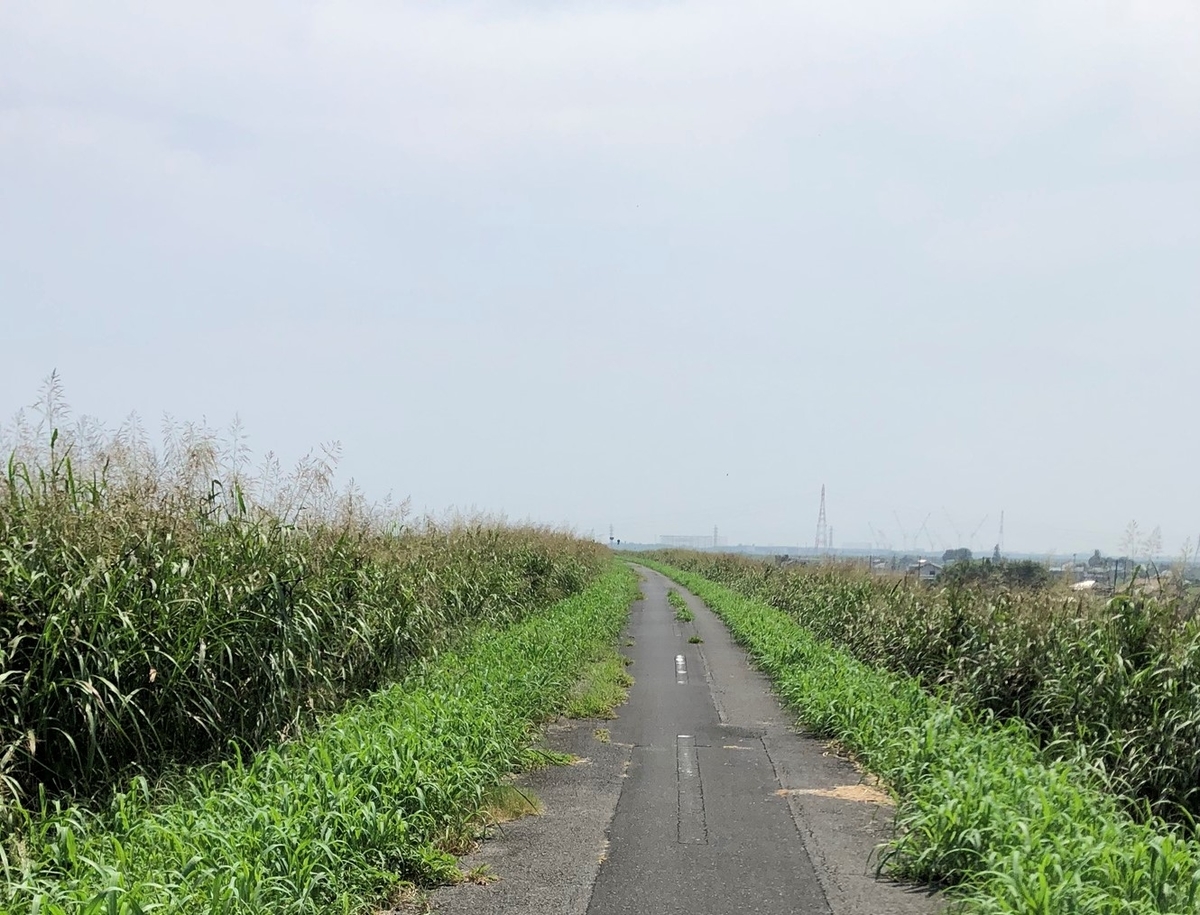 f:id:CaNYAon:20200809161241j:plain