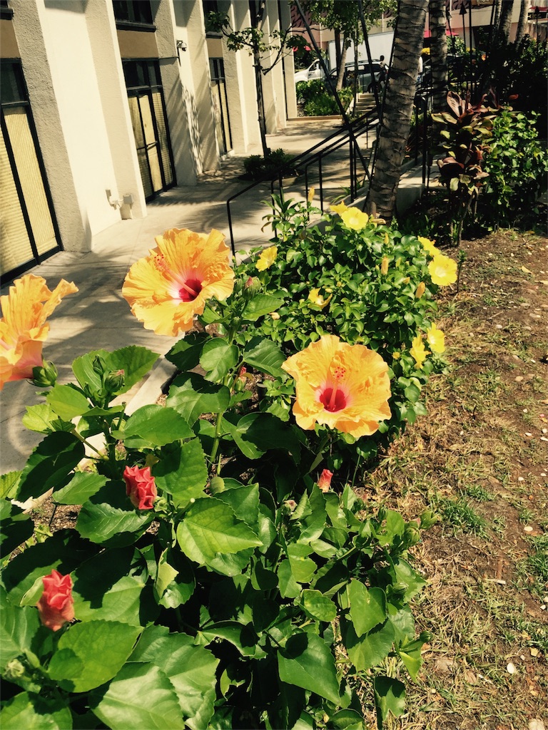 f:id:Cagedsheep:20160816213055j:image