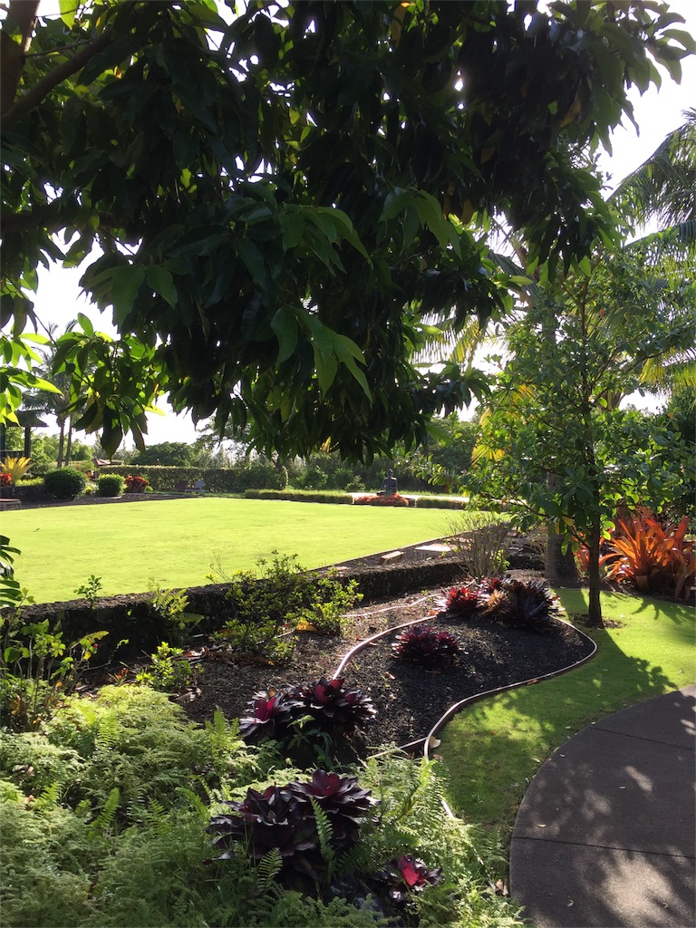 f:id:Cagedsheep:20160929102918j:image