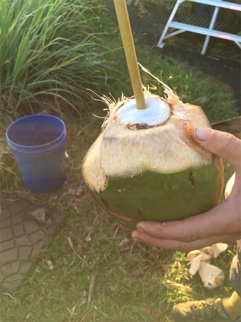 f:id:Cagedsheep:20160929103057j:image