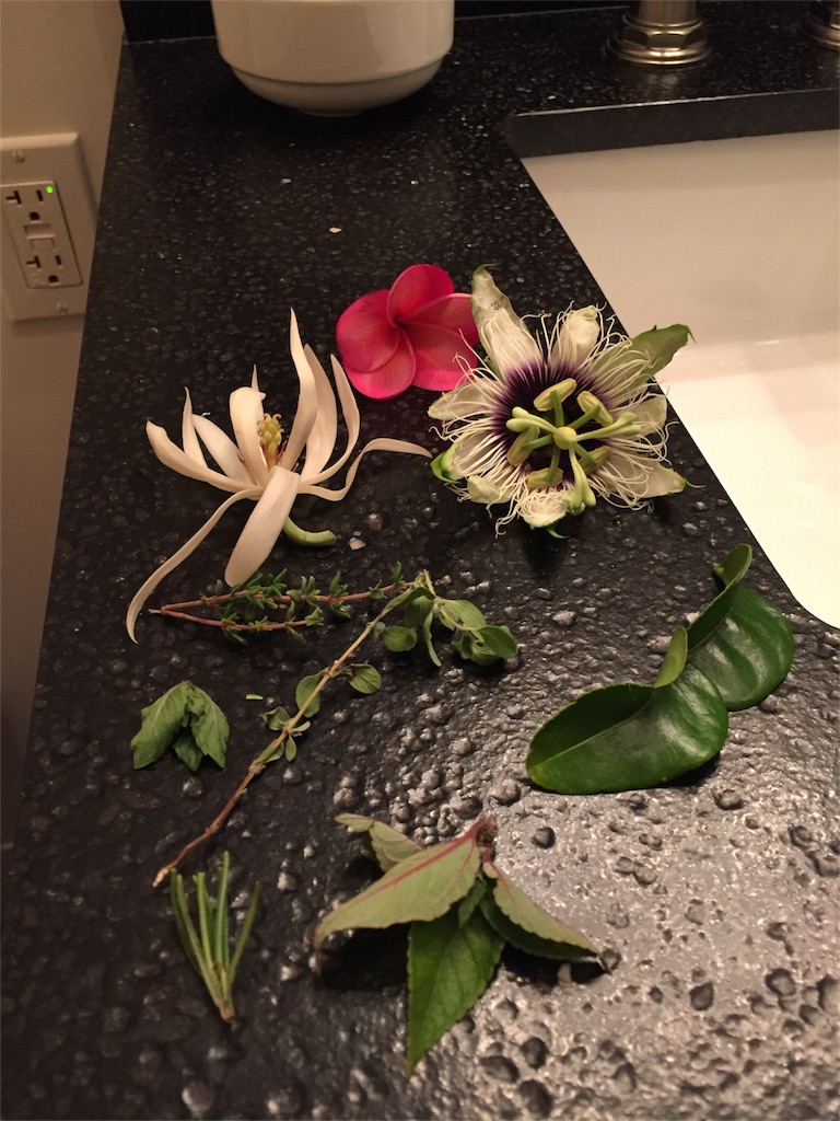 f:id:Cagedsheep:20160929103123j:image