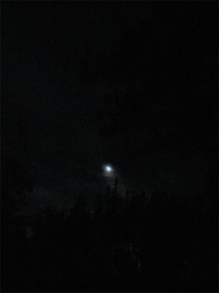 f:id:Cagedsheep:20160929103309j:image