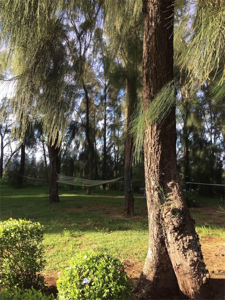 f:id:Cagedsheep:20160929104149j:image