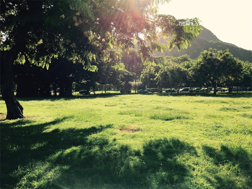 f:id:Cagedsheep:20161115171217j:image