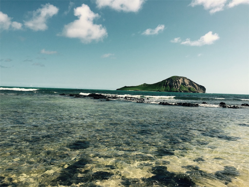 f:id:Cagedsheep:20161117115920j:image